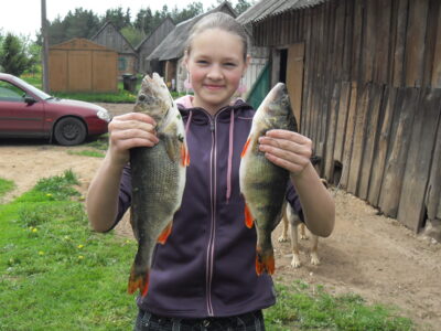 Ešerys, 0,9 kg — Čičirys