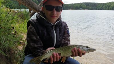 Lydeka, 1,0 kg — Balsys