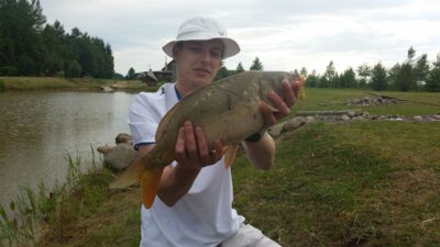 Paprastasis karpis