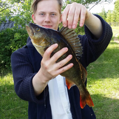 Ešerys, 1,2 kg — Lydekėlis