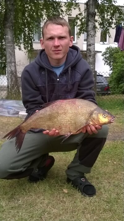 Karšis, 2,6 kg — Didžiulis