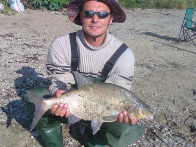 Karšis, 2,9 kg