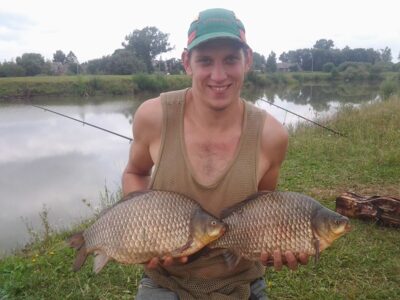 Auksinis karosas, 2,6 kg