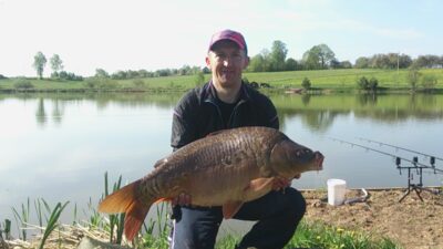 Paprastasis karpis, 14,8 kg