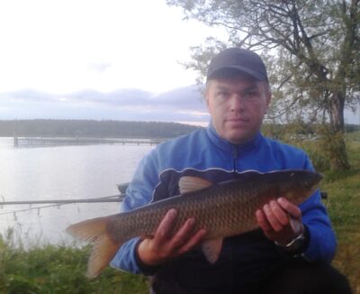Baltasis amūras, 2,1 kg