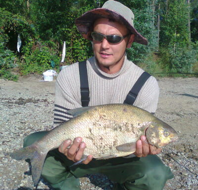 Karšis, 2,8 kg