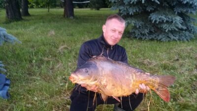 Paprastasis karpis, 11,1 kg