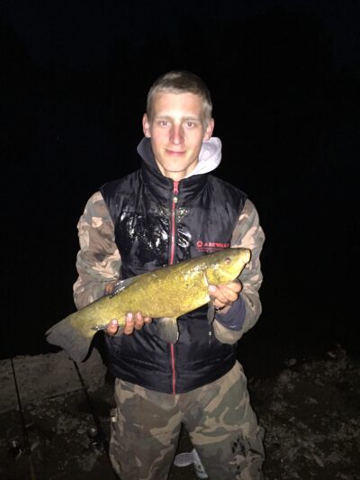 Lynas, 1,4 kg — Girdžių