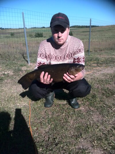 Lynas, 2,2 kg — Leikštikėlis