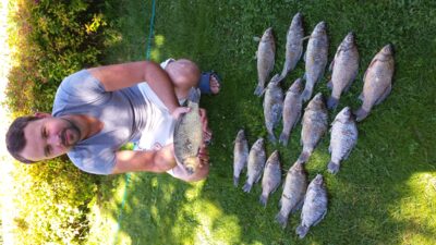 Auksinis karosas, 0,9 kg — Kauno marių
