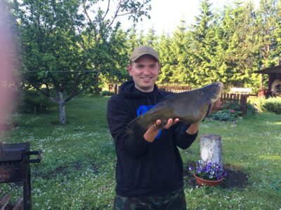 Lynas, 2,7 kg — Platelių