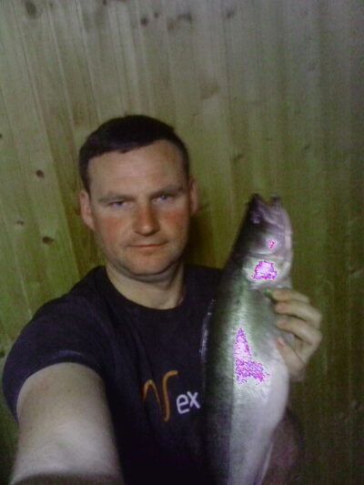 Starkis, 2,5 kg — Nemunas