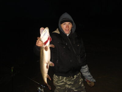 Lydeka, 3,0 kg — Skirvytė