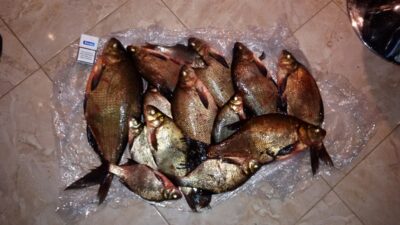 Karšis, 1,0 kg