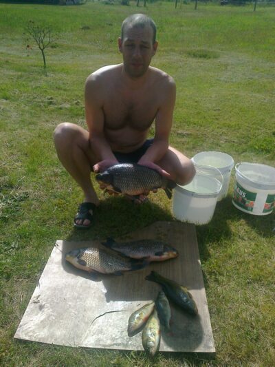 Sidabrinis karosas, 1,7 kg — Vainabalis