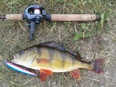 Ešerys, 0,4 kg
