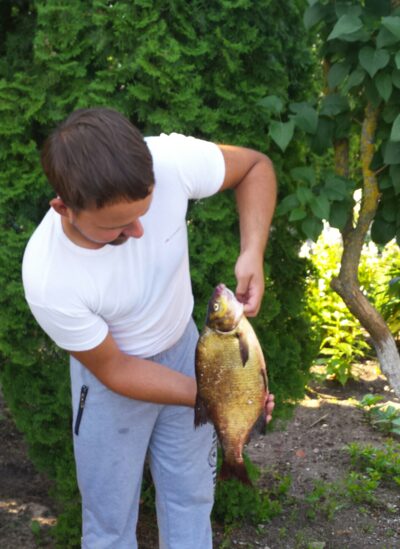 Karšis, 1,5 kg — Vilnoja