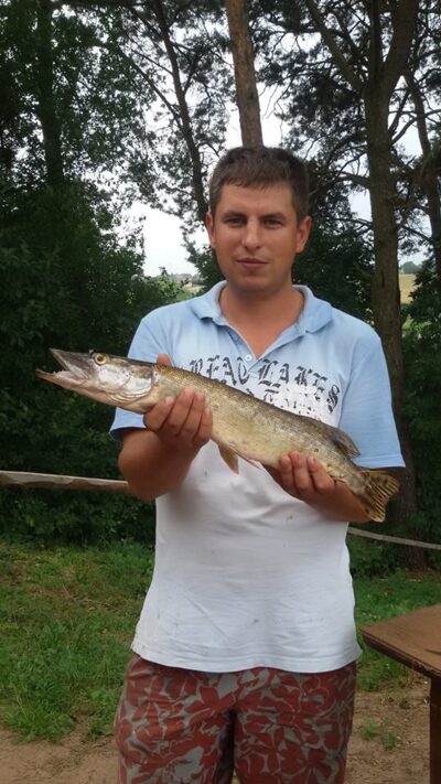 Lydeka, 1,4 kg