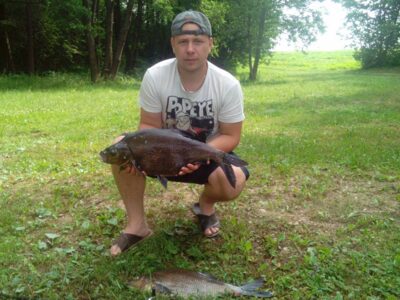Karšis, 2,8 kg — Čičirys