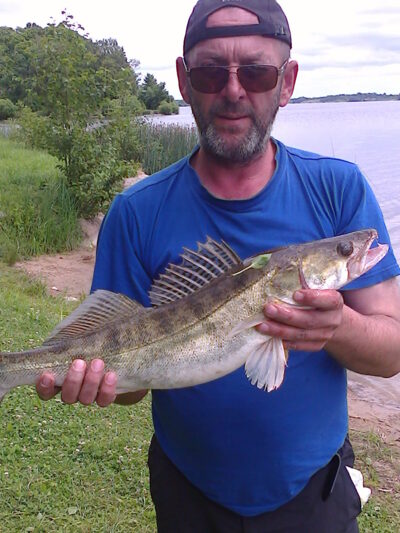 , 2,6 kg
