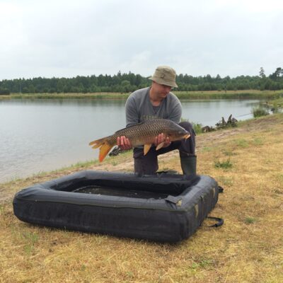 Paprastasis karpis, 7,5 kg