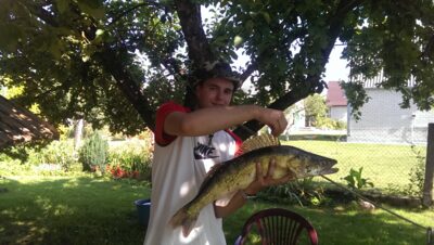 Starkis, 3,6 kg — Veisiejis