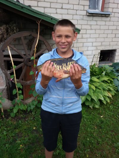 Paprastasis karpis, 1,9 kg — Žagarės