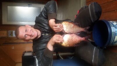 Karšis, 1,2 kg — Neris