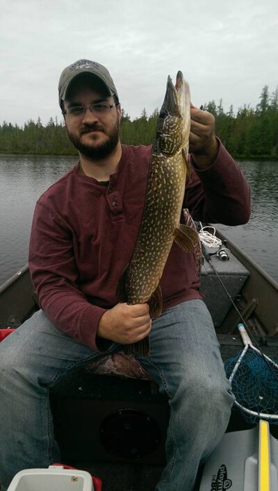 Lydeka, 1,2 kg — Osgood Pond
