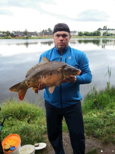 Paprastasis karpis, 6,9 kg