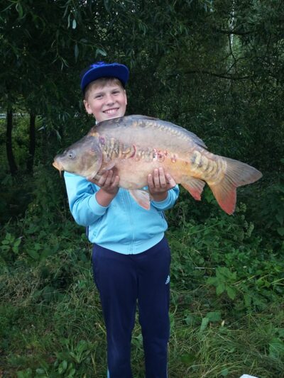 Paprastasis karpis, 6,8 kg