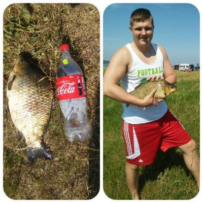 Auksinis karosas, 2,5 kg — Elektrėnų marių