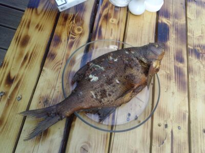 Karšis, 1,0 kg