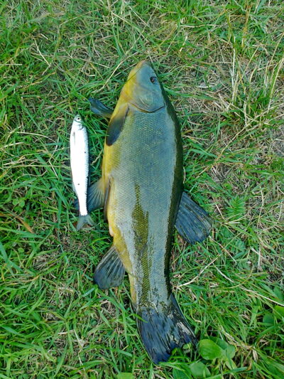 Lynas, 1,1 kg