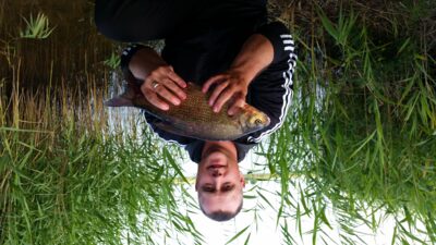 Karšis, 1,0 kg — Kavalys
