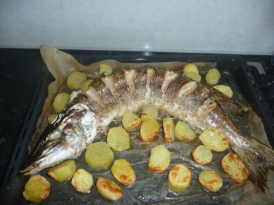 Lydeka, 2,0 kg — Bubių