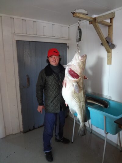 Ledjūrio menkė, 26,0 kg — Norvegijos jūra