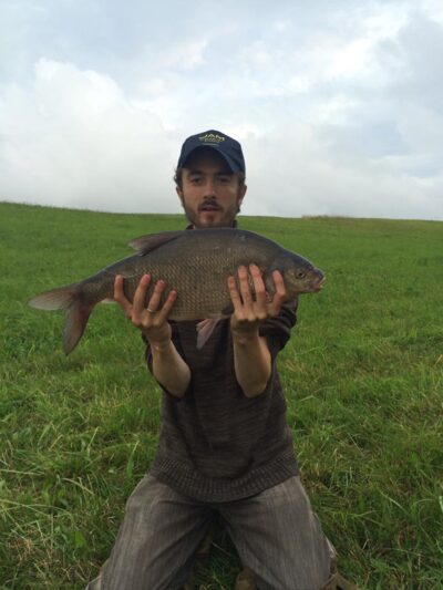 Karšis, 3,1 kg