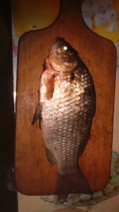 Auksinis karosas, 0,5 kg — Lentvario