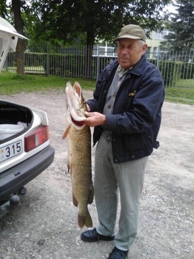 Lydeka, 10,5 kg — Veprių