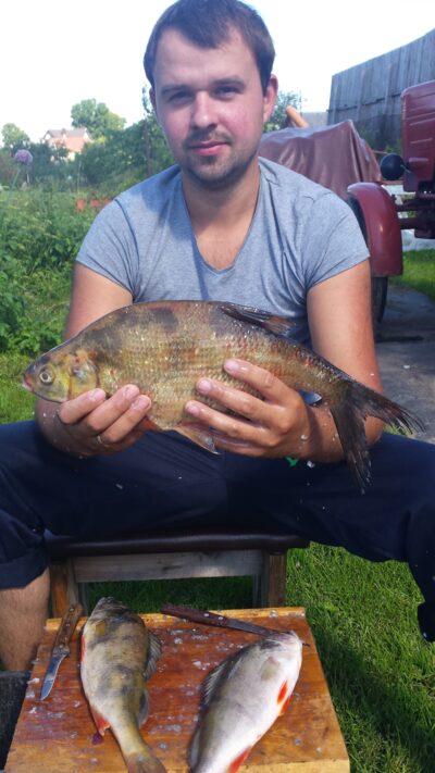 Karšis, 1,2 kg