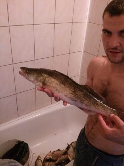 Starkis, 1,7 kg — Kavalys