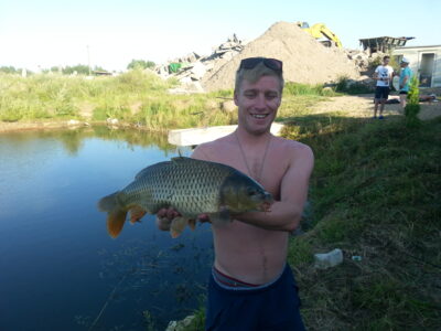 Paprastasis karpis, 2,8 kg