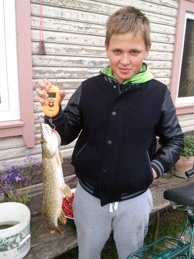 Lydeka, 1,1 kg — Svėdasas