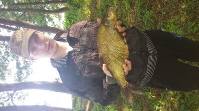Karšis, 1,4 kg — Vilkokšnis