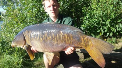 Paprastasis karpis — Ilgis