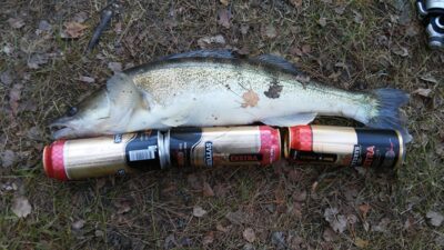 Starkis, 2,0 kg — Baltosios Ančios HE