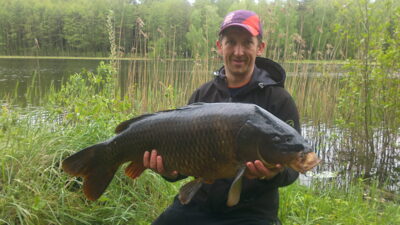 Paprastasis karpis, 16,2 kg