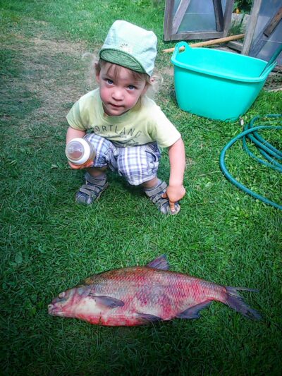 Karšis, 2,3 kg