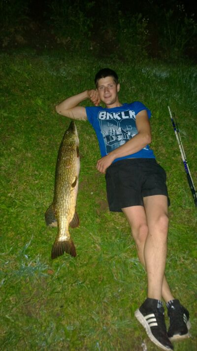 Lydeka, 8,5 kg — Platelių